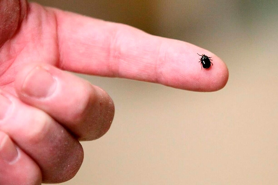 Experts expect bad year for ticks as disease carrying bugs expand