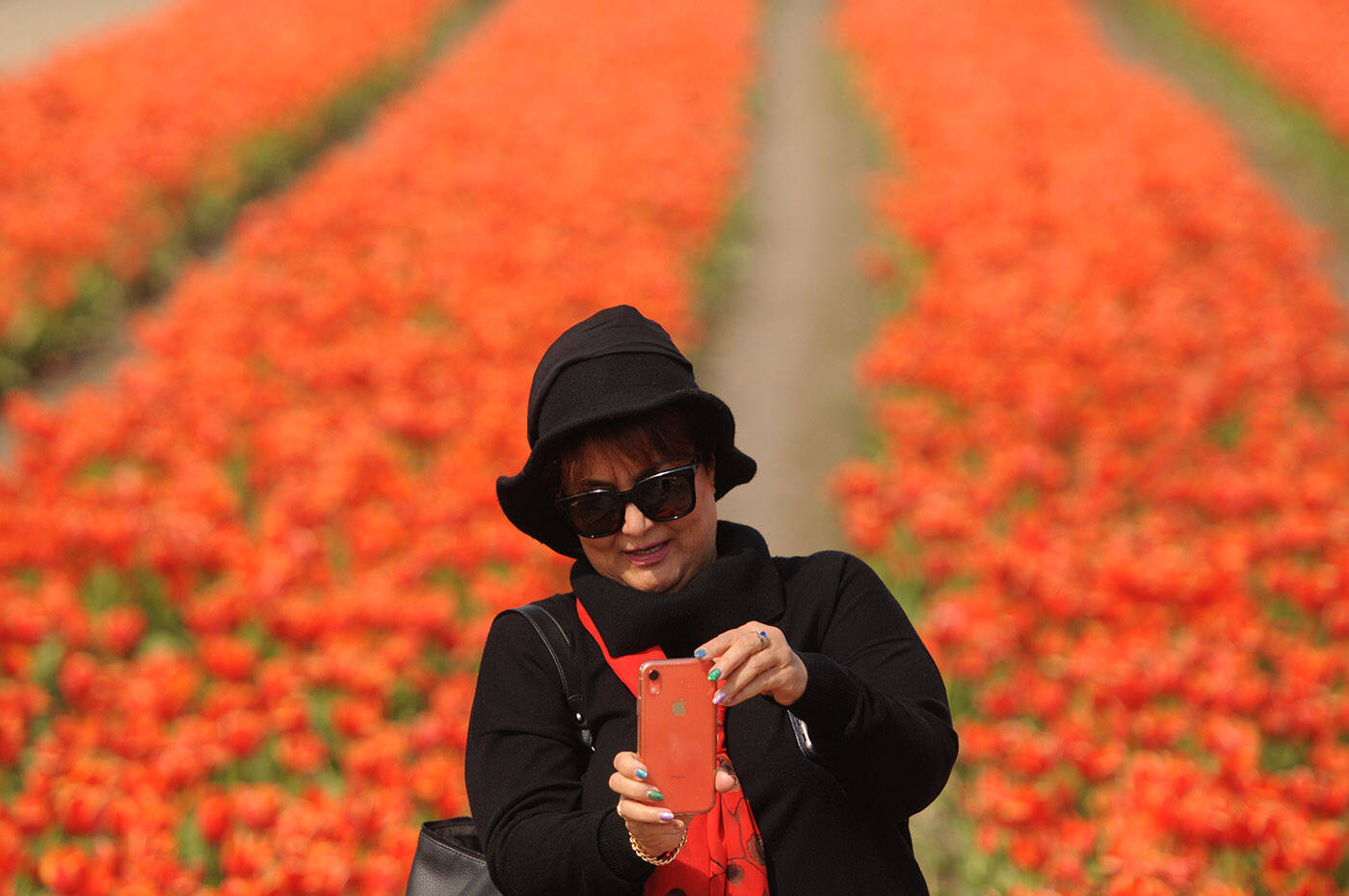 A woman takes a photo during the Chilliwack Tulip Festival on Saturday, April 23, 2022. The event runs until May 1. (Jenna Hauck/ Chilliwack Progress)