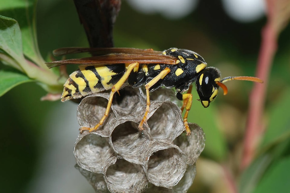 33830468_web1_230914-SIN-PRU-NSE-nature-nut_1