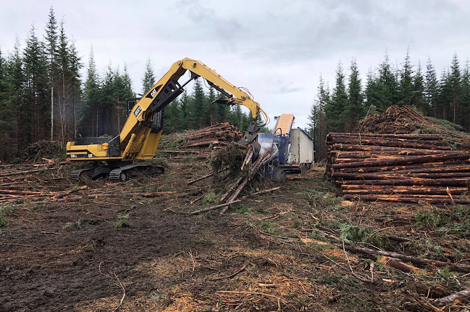 33883046_web1_191128-TST-skeena.sawmills.3