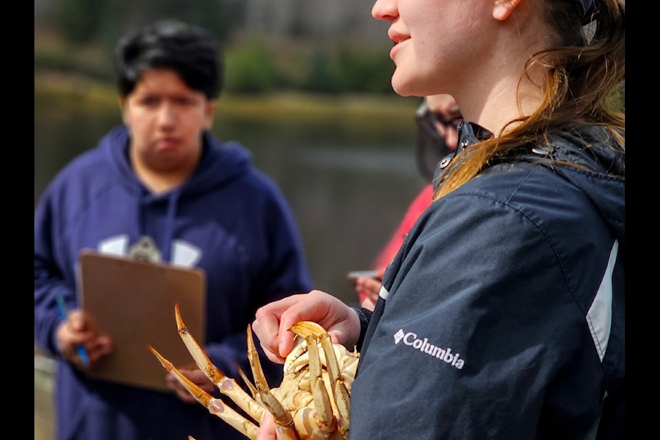 Ecotrust Canada has experienced great engagement from Charles Hays Secondary students during geared-to-industry specialized science classes at the Prince Rupert high school. Students learned bio-sampling of the dungeness crab taught by Ecotrust Canada. Photo: Facebook