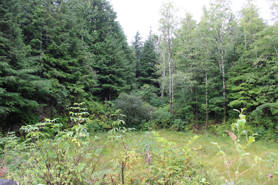 The city of Prince Rupert will build a pilot wastewater treatment initiative in a small area by Moresby Park where the Second World War fuel tanks were previously located. They are hosting a public information session for this on Oct. 8.