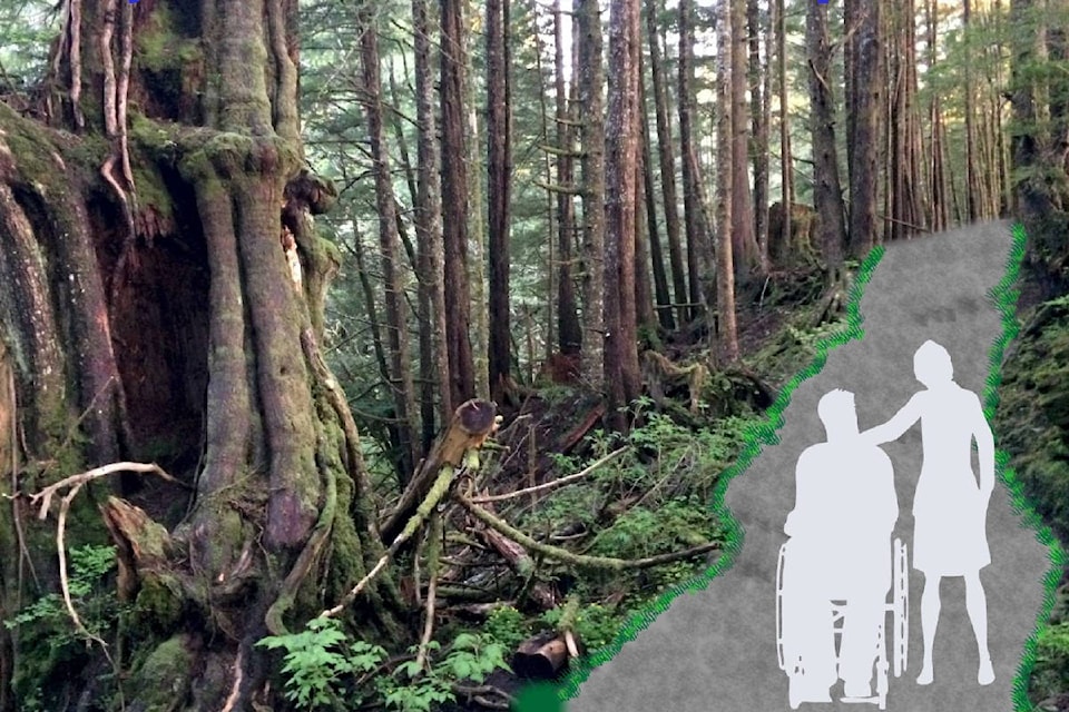 web1_McClymont-Trail-plan