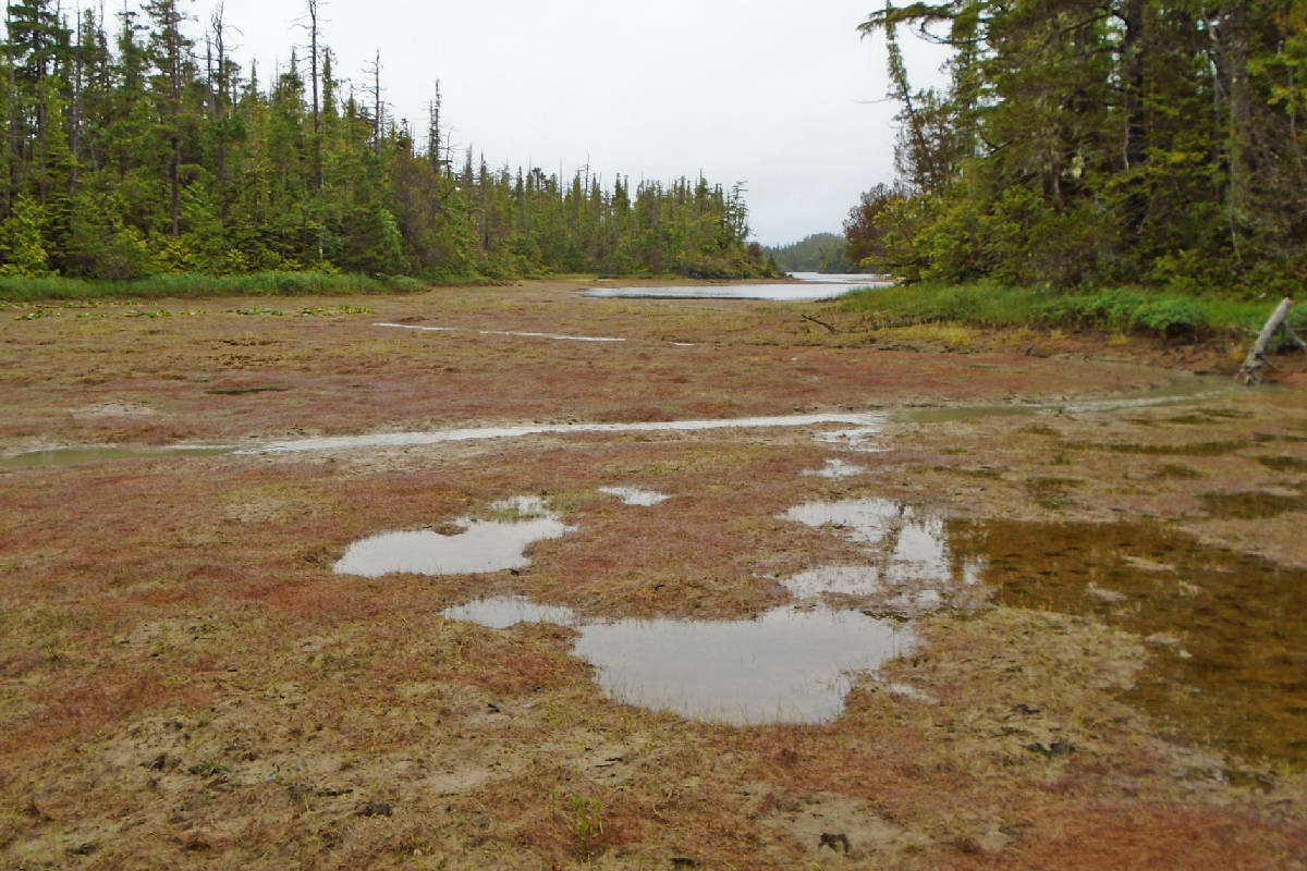 8634945_web1_Mine-waste-flowing-into-a-lake-Banks-Island.BrentEdmundsphoto