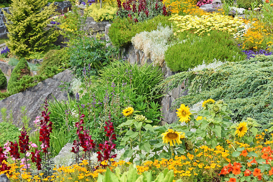 12840647_web1_PRINT.sunken.garden.flowers.4.KL