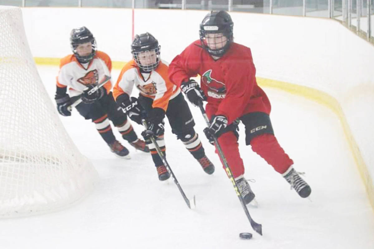 16323346_web1_190411-PRU-Sockeyes-Submitted3