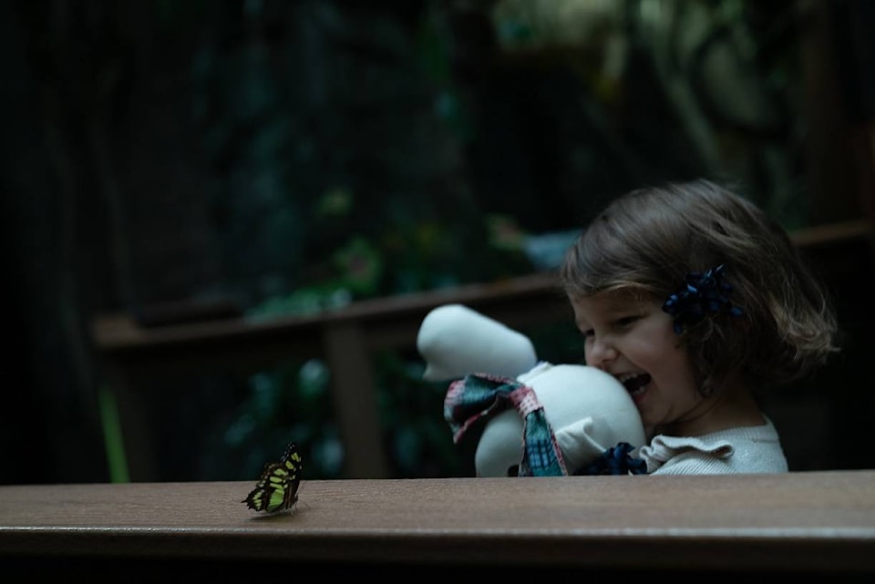 16842094_web1_Child-with-Malachite-butterfly_Vancouver-Aquarium_Credit-Ocean-Wise_SM