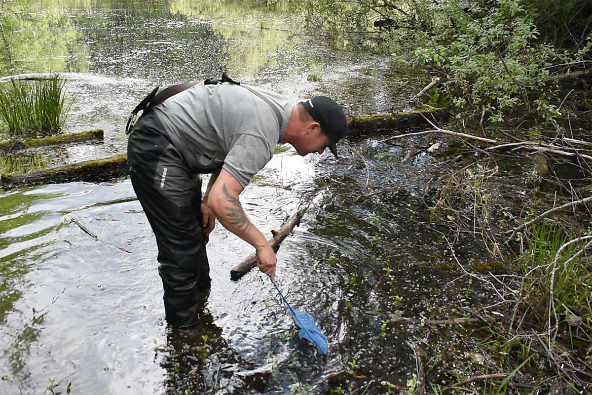 17846699_web1_TST-fish-pit-photo-web6