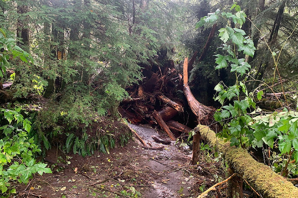 A landslide brought down several metres of debris into the creek on Sept. 21 (Photo courtesy Oldfield Creek Fish Hatchery)