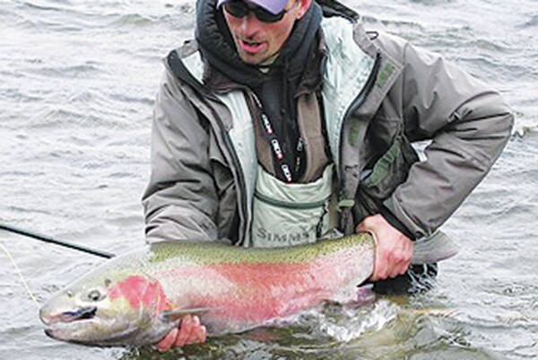 B.C. closes Skeena watershed for steelhead effective Oct. 12 - The