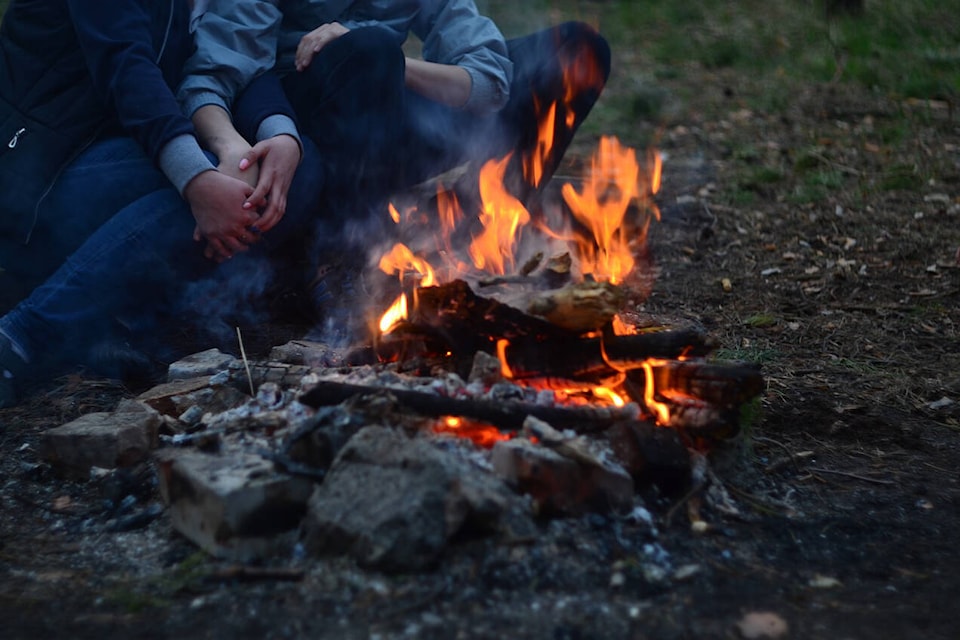 A province-wide Category 1 campfire prohibition will be put into effect at 12 p.m. on Friday, July 12, 2024. (Artem_Apukhtin/pixabay)