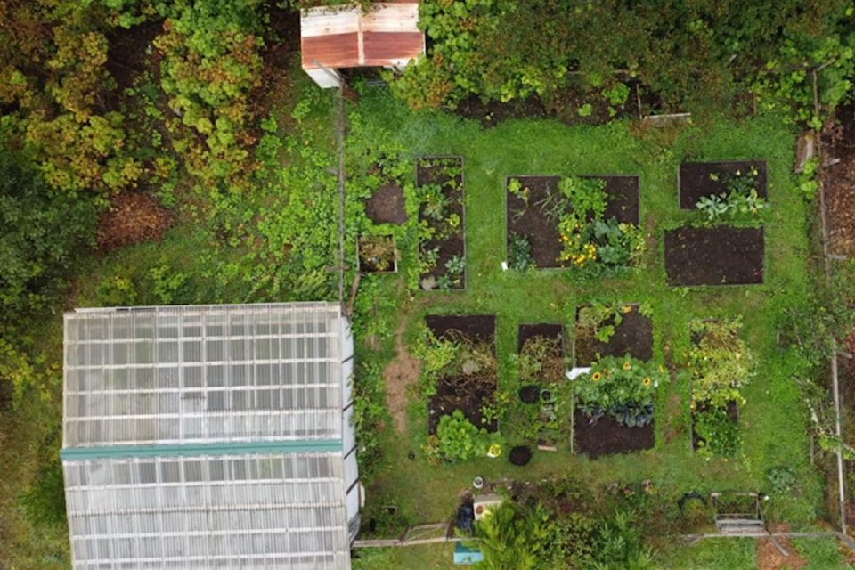 garden-1