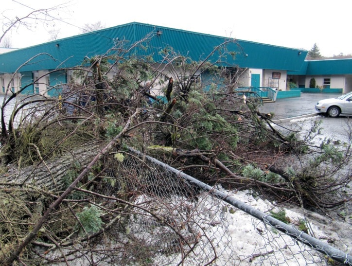 Eagle View Elementary tree down