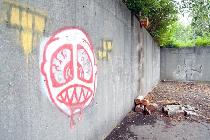 51335porthardyN-graffiti-skull-jr-27