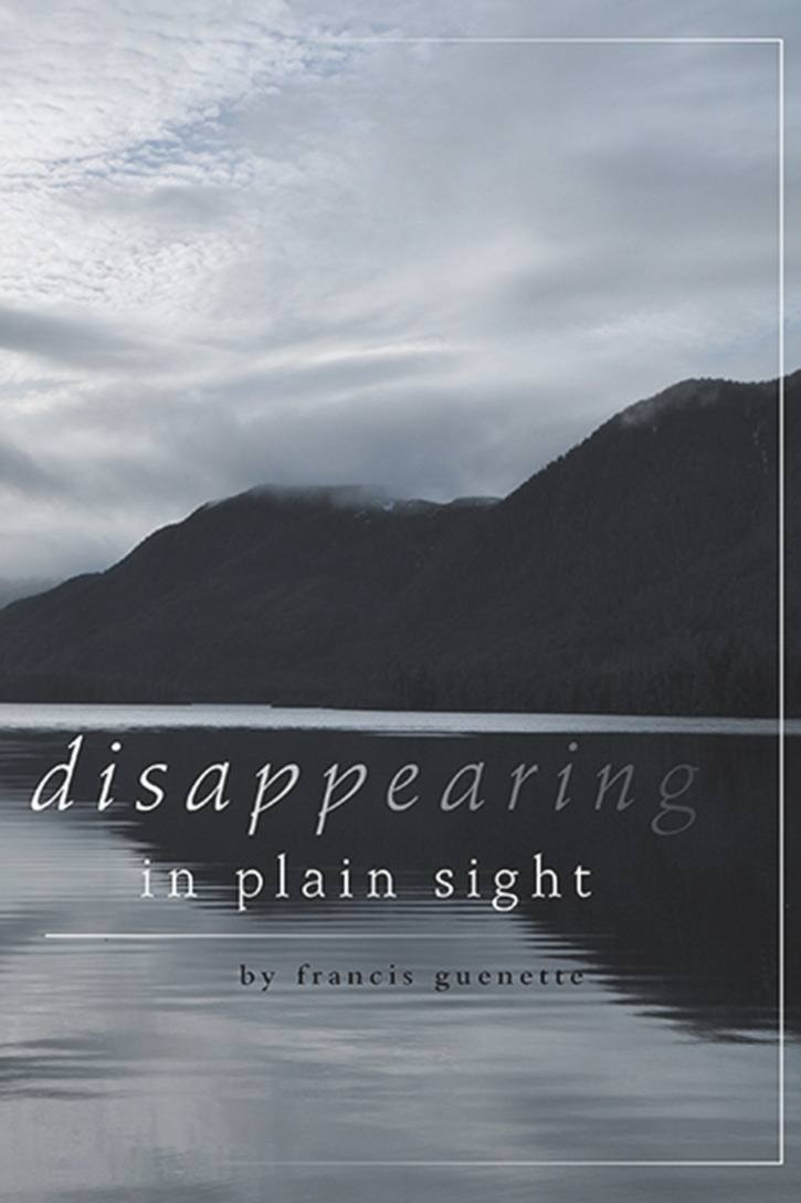 78981porthardyC-author-disappearing-cover-37