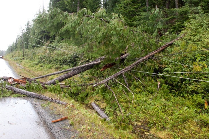 9185porthardyN-hydro-downed-tree-jr-39