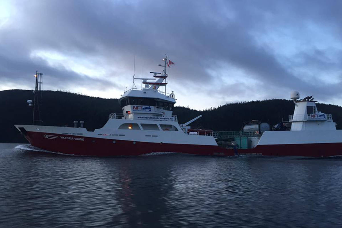 Fish Farm occupiers protest restocking of empty fish farm