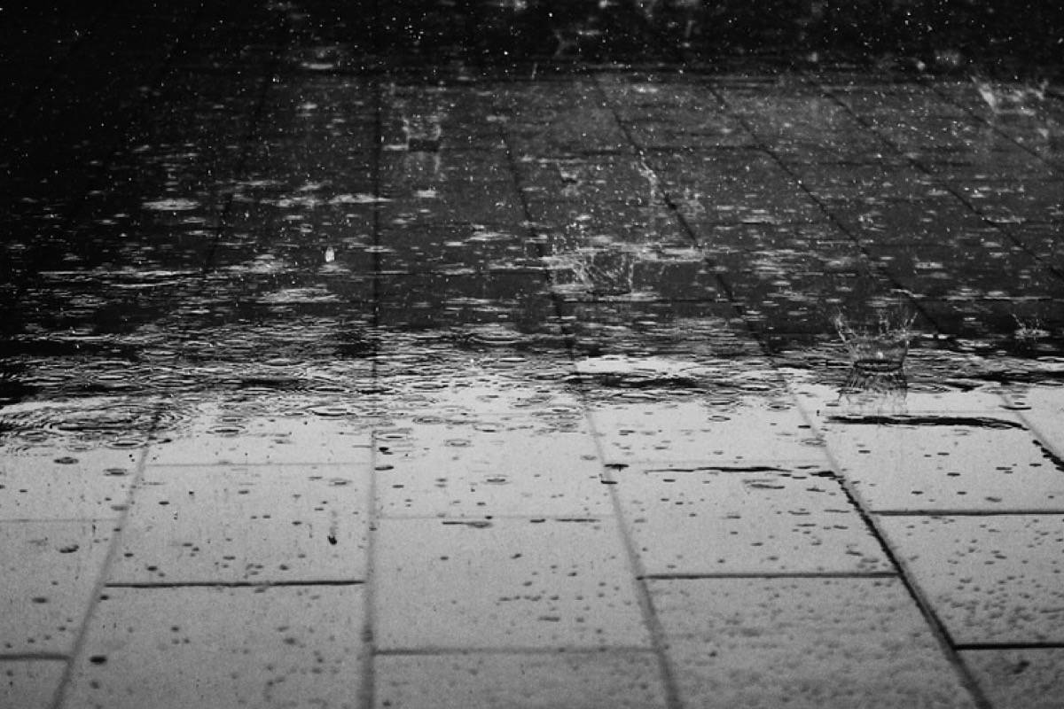 Rainfall warning in effect for much of Vancouver Island