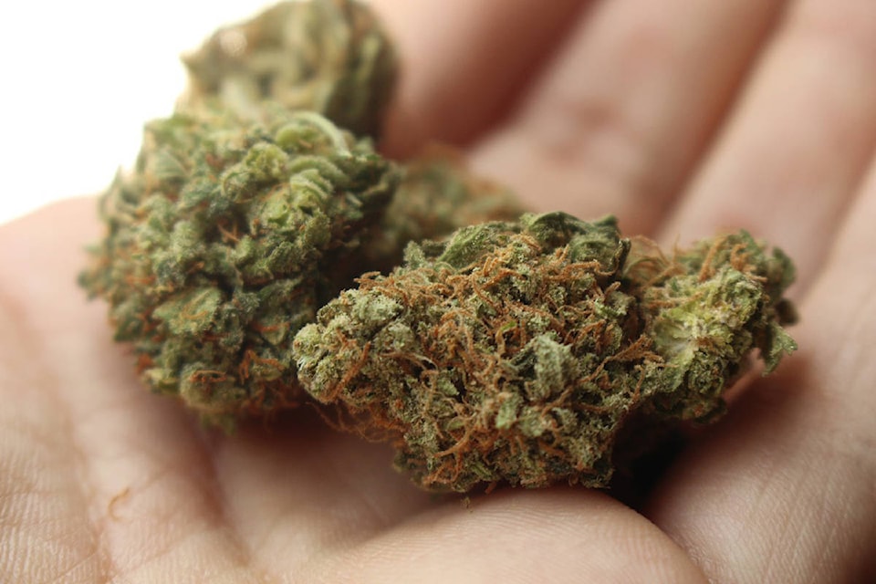 9227774_web1_170088-NIG-WeedTalk2_1