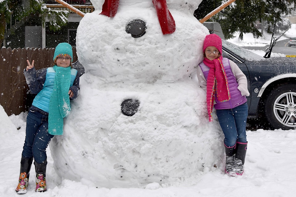 10737981_web1_SnowmanCrop