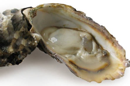 11656648_web1_oyster-sub-apr10