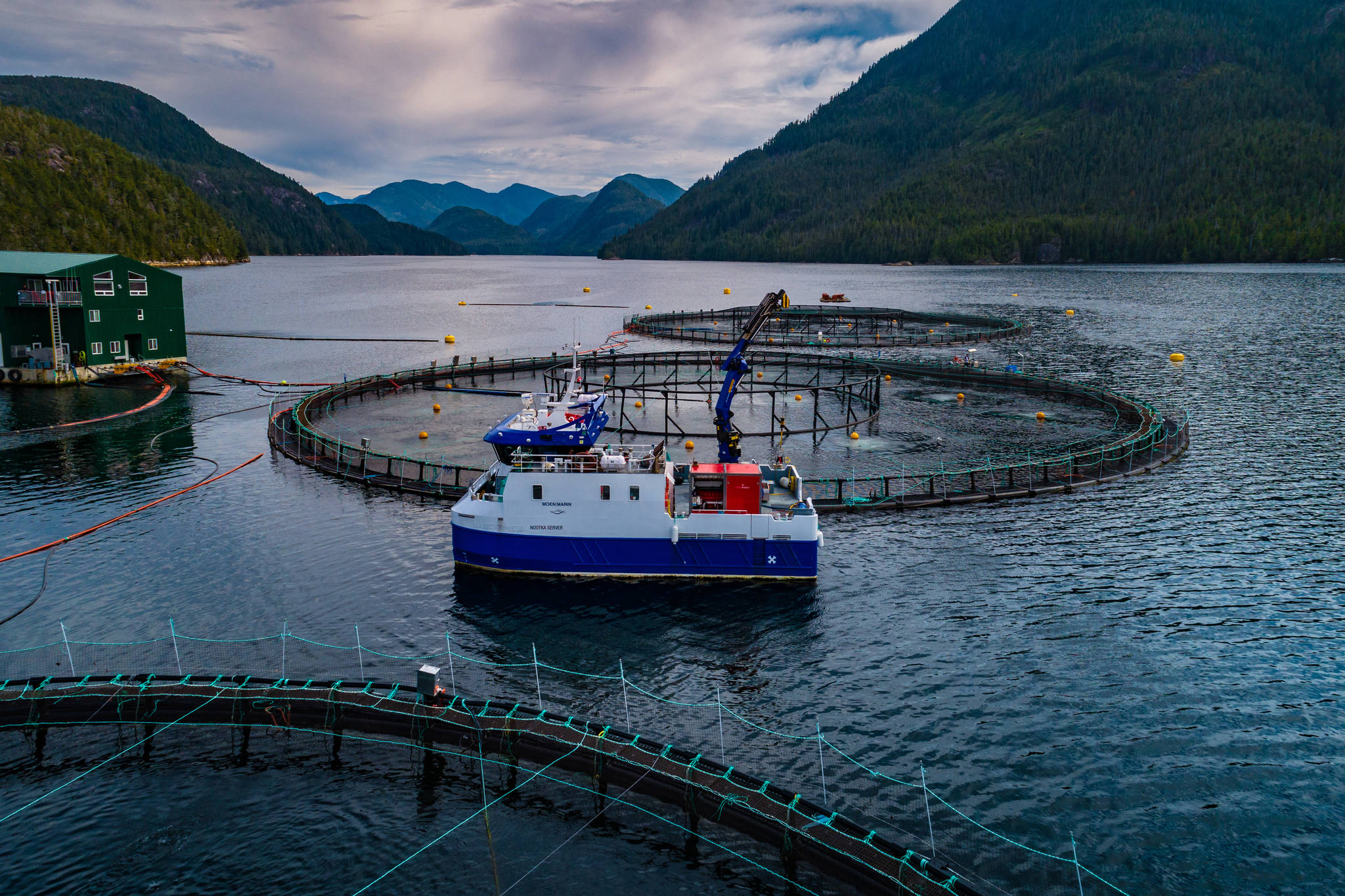 Canada 'stole Christmas' says Vancouver Island's aquaculture