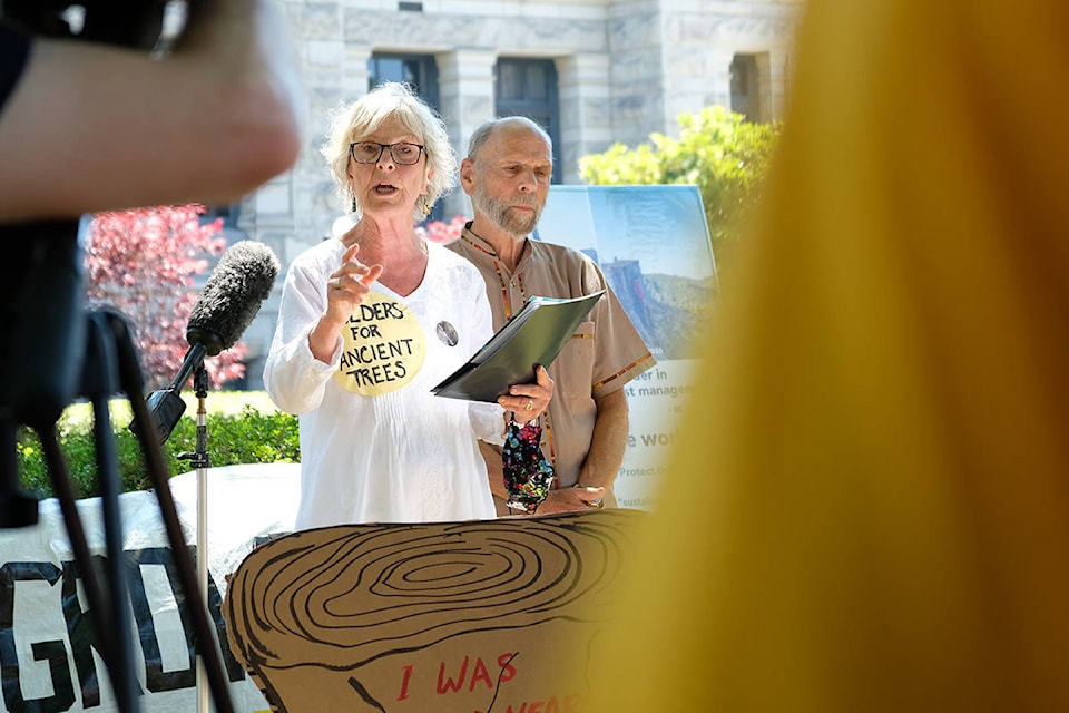 Elders for Ancient Trees insist that the court affirm the right of access, Jackie Larkin tells a gathered crowd at the legislature on June 28. (Zoe Ducklow/News Staff)