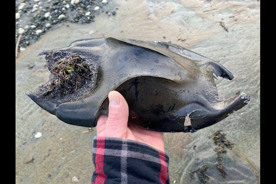 The Mermaid's Purse: An inanimate treasure that can be found