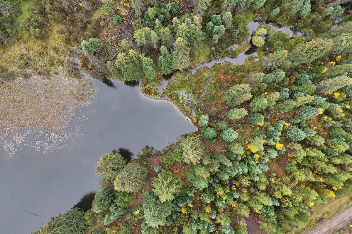 State of emergency declared in B.C.’s North Thompson tied to risk posed by illegal dam