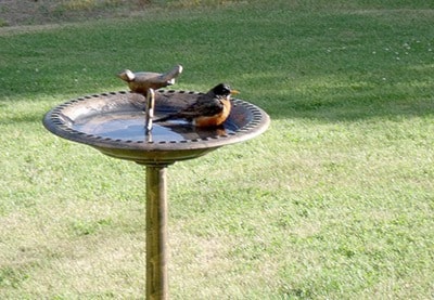 18449barriereKeithMoorerobin
