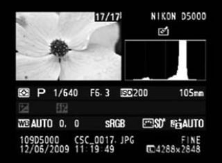 21540NewS.4.20110114171220.histogram_B_W_20110117