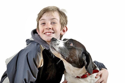 Dog Bite Prevention - What Every Family Needs To Know