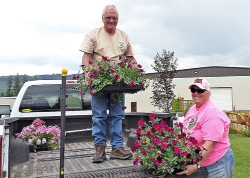 40814barriereDan-ColleenChristensenflowersforgardenCedarRidge