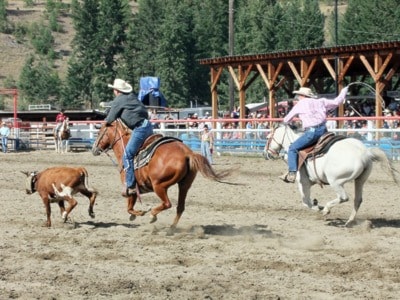 56019barriereff336TeamRoping
