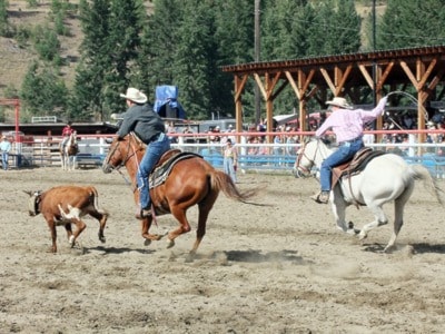 56019barriereff336TeamRoping