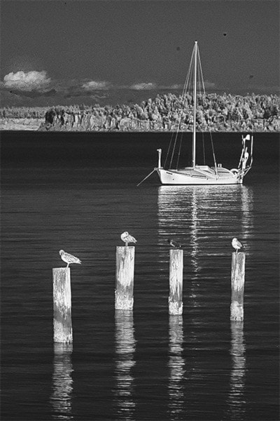 7086barriereEnmanSeagullsandboatcopy