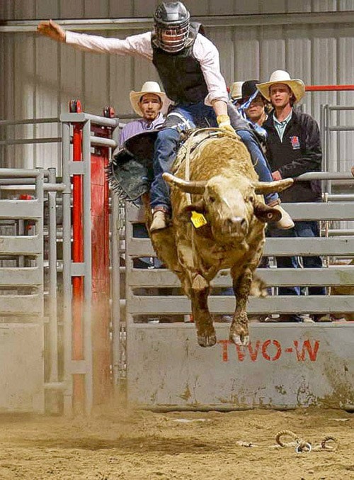 8370barriereBullarama2016airbornbull-cowboy-RickUlmerPhoto