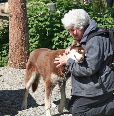 89001barriereIMG_0770DenaliHuskiesJill