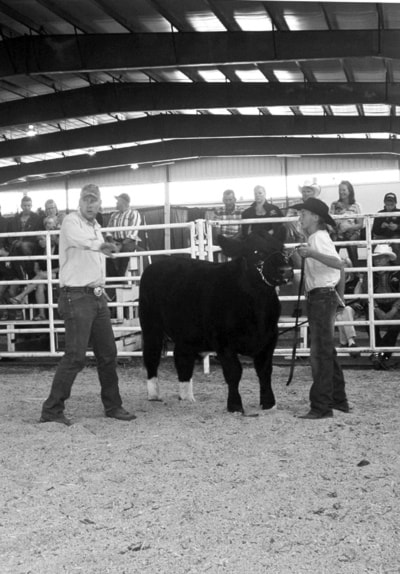 95132barriereShowing4Hbeef
