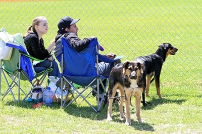 95793barriereWatchingbaseballgamewithdogs