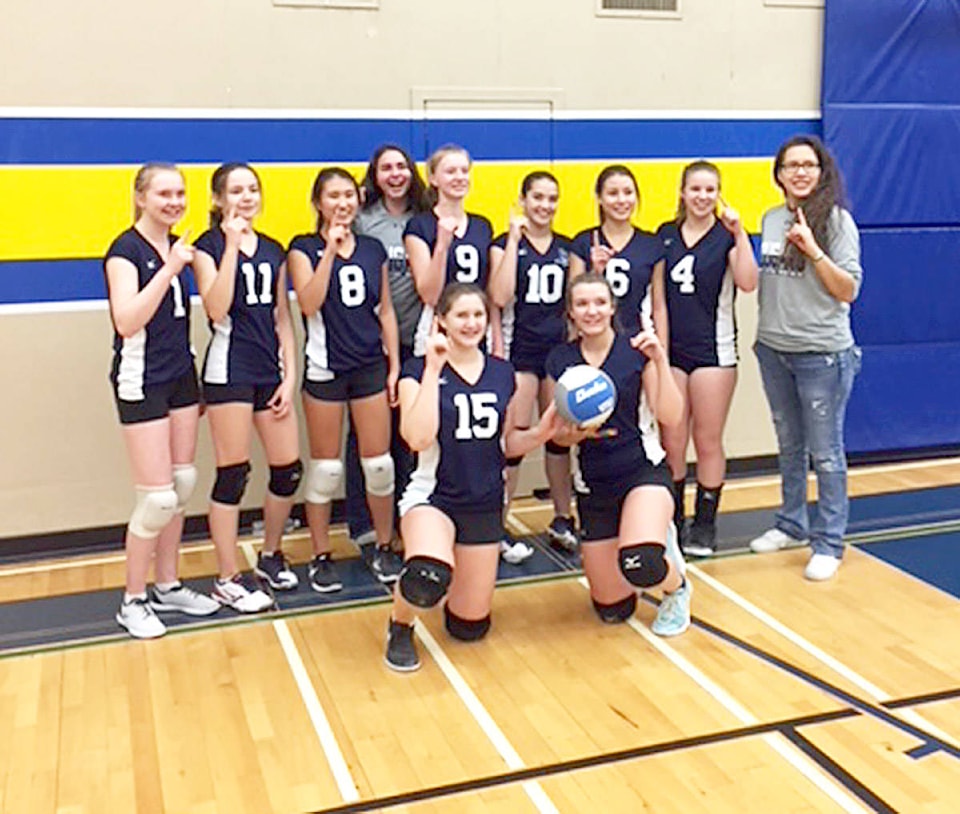 9422255_web1_BSSVolleyballGirlsRegWin2017