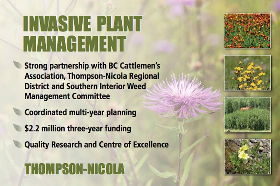 9573484_web1_171130-NTC-InvasivePlantManagement