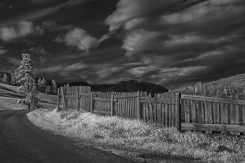10277157_web1_Enman-Tree--fence-infrared-2