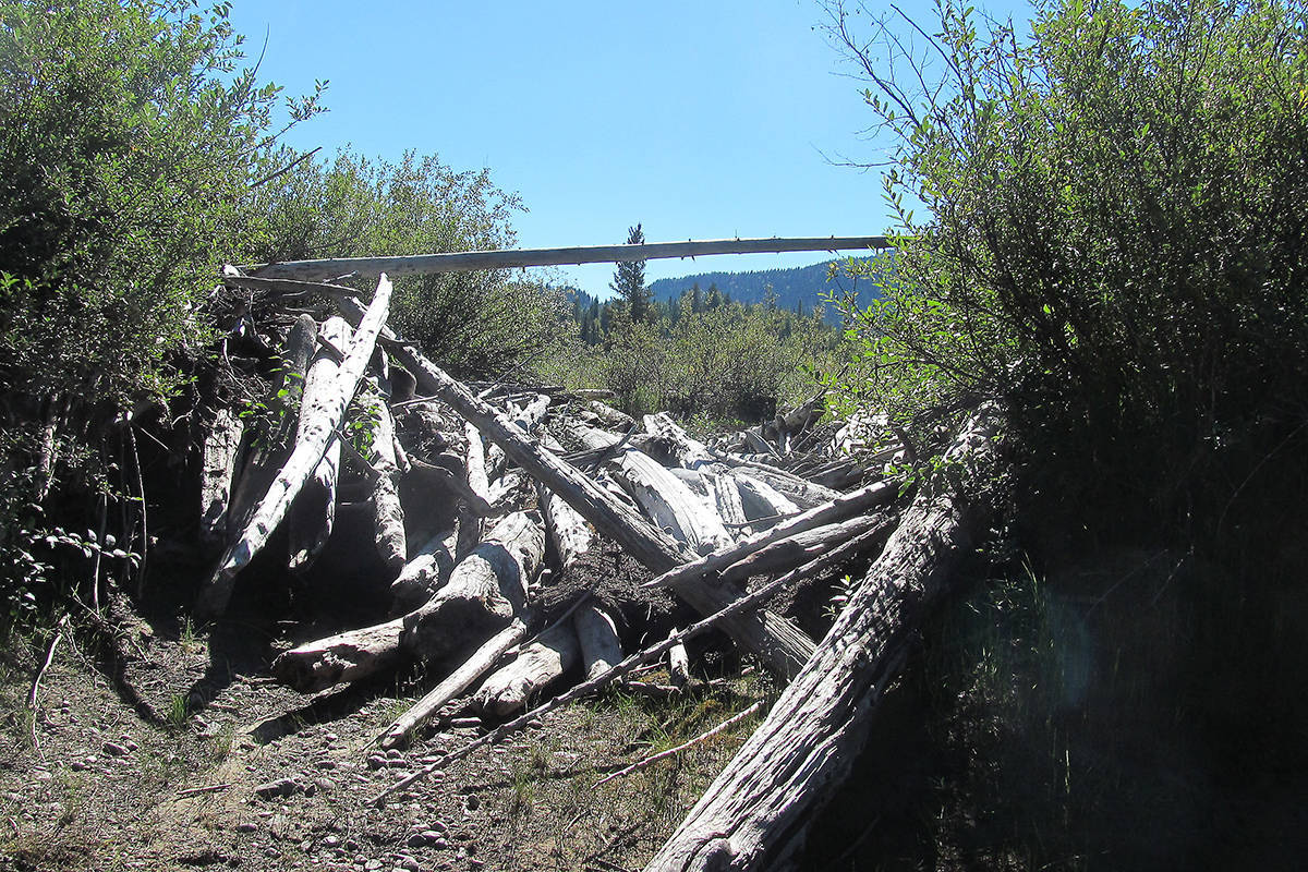 12571028_web1_11599572_web1_180329-NTC-Horsehoe3driftwood