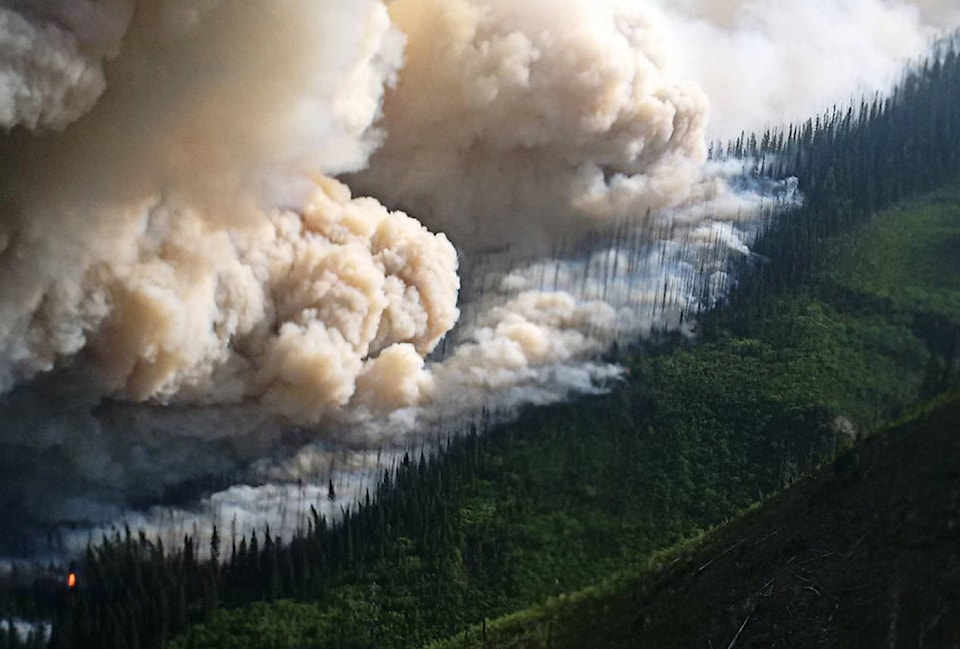 13099879_web1_Wildfire-KootenayNationalPark