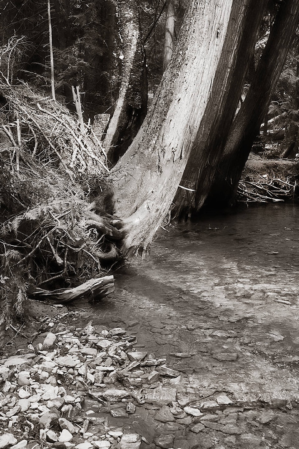 13306405_web1_Enman-Stream