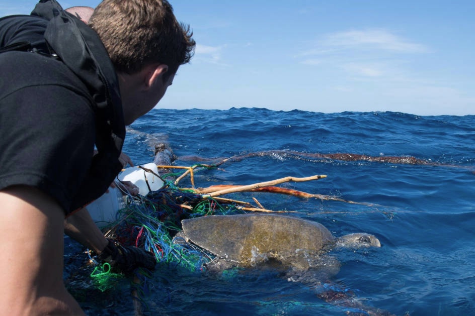 14489417_web1_181121-VNE-NavySeaTurtleRescue_2