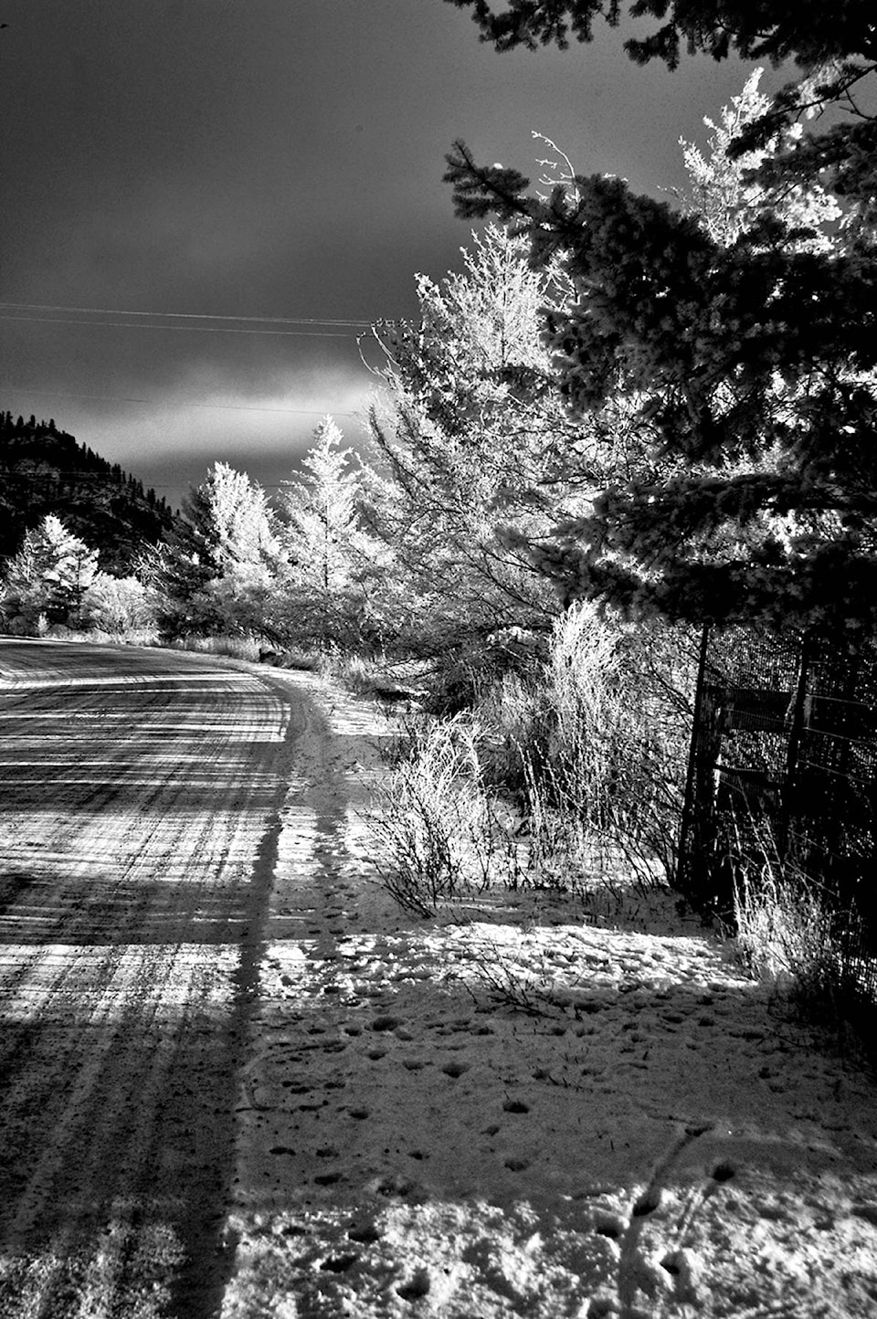 15589279_web1_Enman-Road-infrared