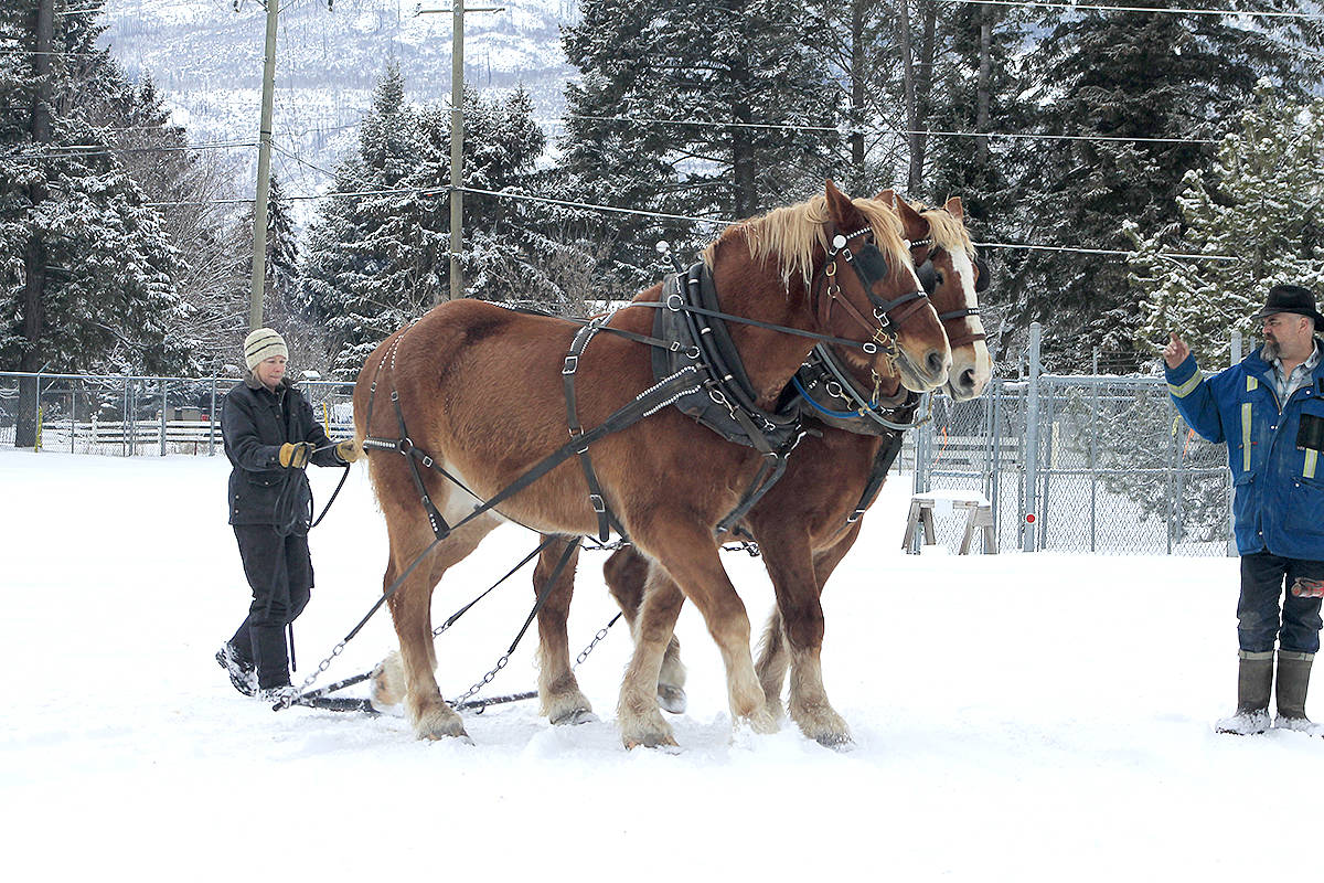 15710676_web1_Heavy-Horses-Joyce--team