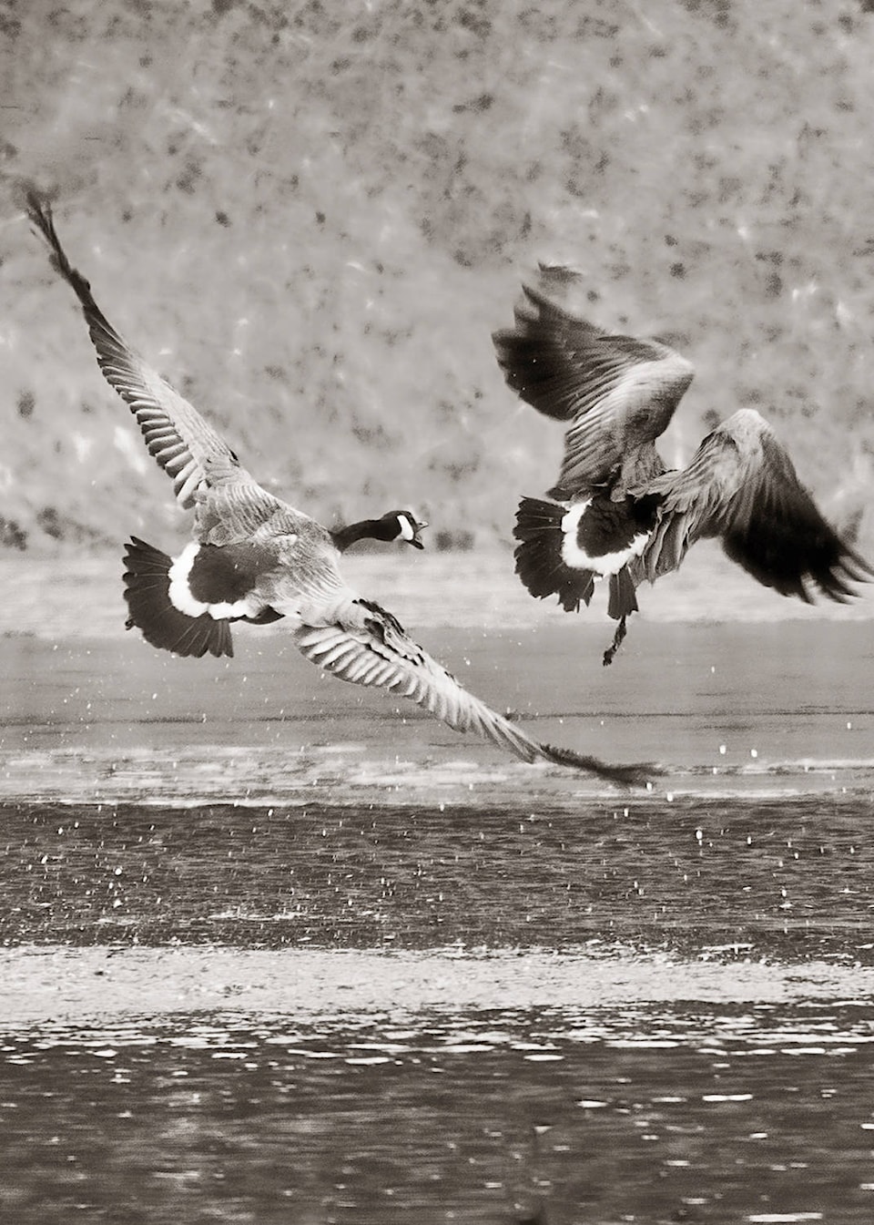 16298453_web1_Enman-Take-off